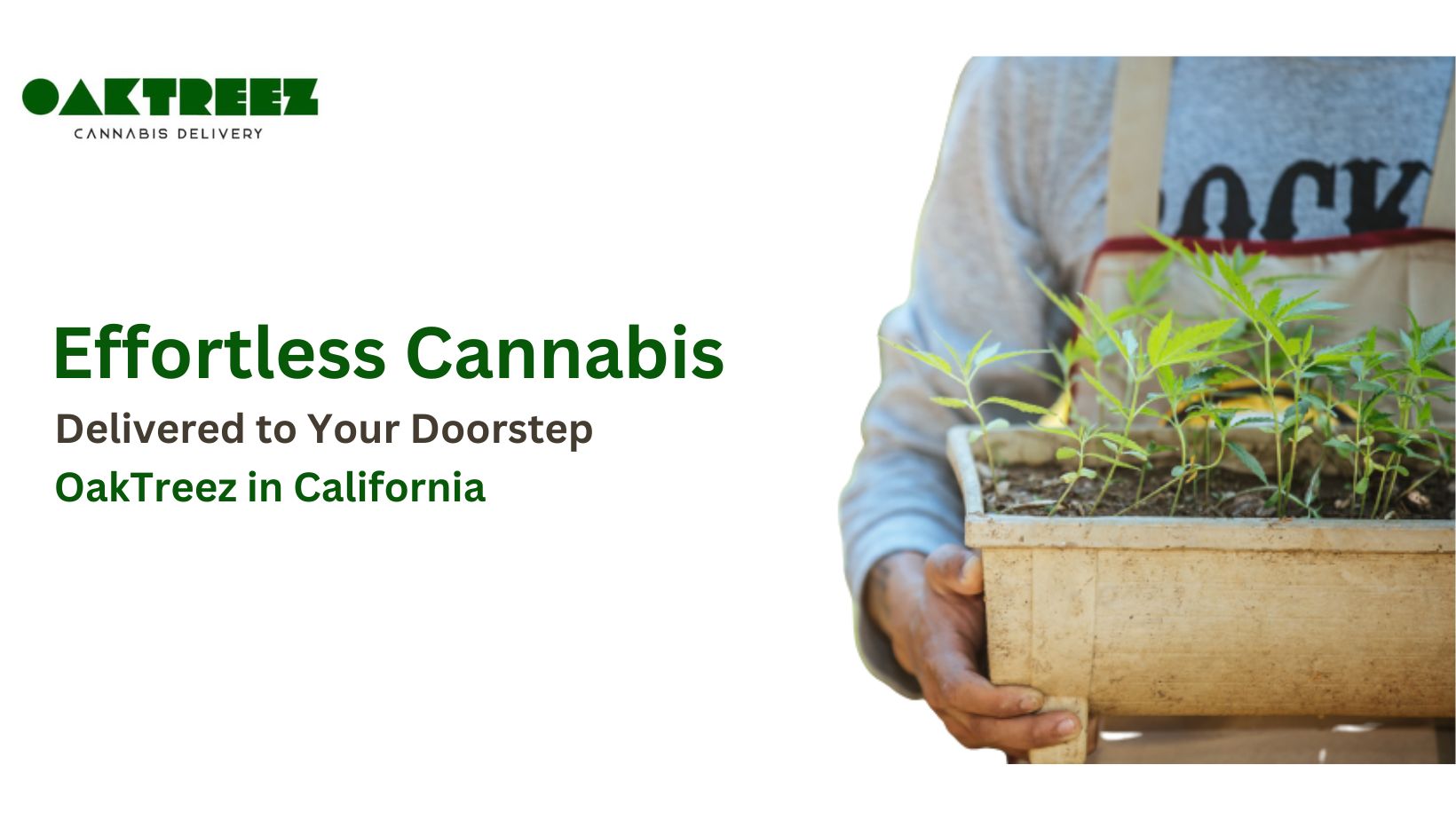 cannabis delivery service in oakland
